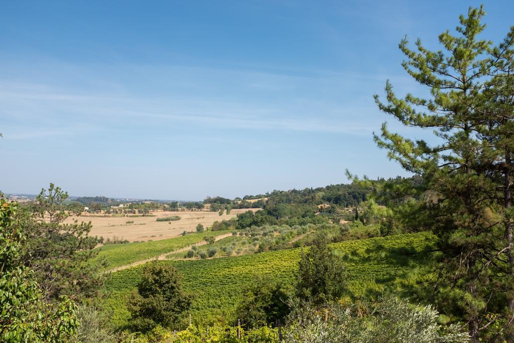 Il Vigneto Cottage Bertinoro Exterior foto
